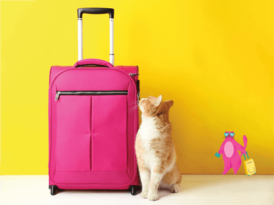 Ταξιδεύοντας με τη γάτα σας