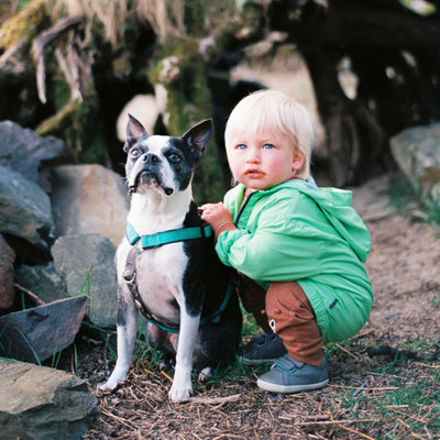Έρευνα: τα παιδιά που μεγαλώνουν με σκύλο αναπτύσσουν καλύτερη συμπεριφορά