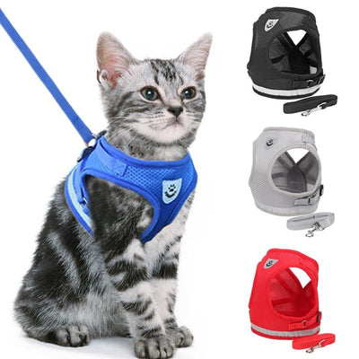 adjustable cat harness and leash set
